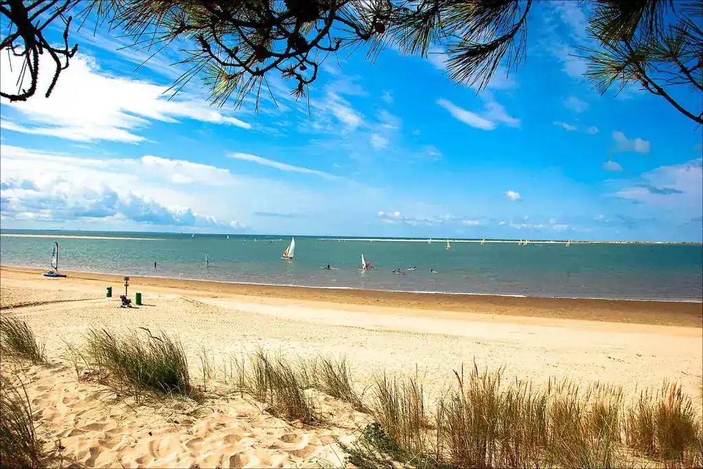Plage de sable et pins de la Côte de Beauté, près de Royan