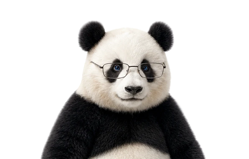 Barron, la mascotte de Studio Bamboo